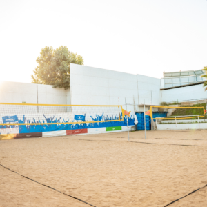 Volley